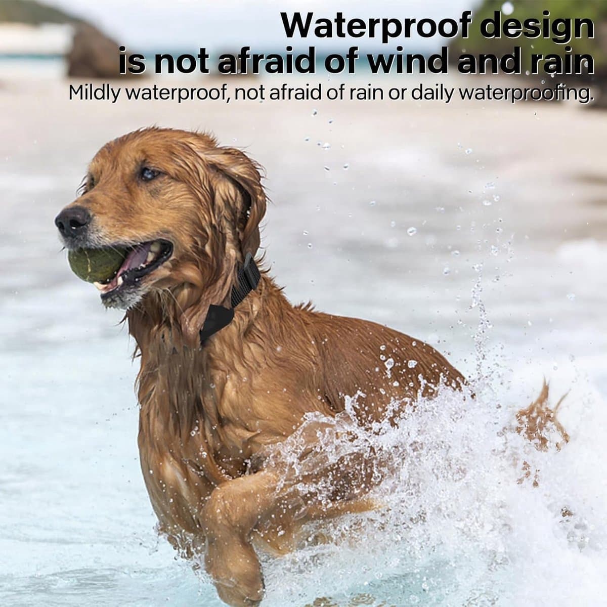GPS Kattentracker - Tracker - Tracker Kat - Tracker Hond - Tracker Android - Waterdicht - Zonder Maandelijkse Kosten - Werkt met iOS/Android - CR2032 Batterij (1+ Jaar) - Verstelbare Nylon Halsband - Zwart thumbnail 3