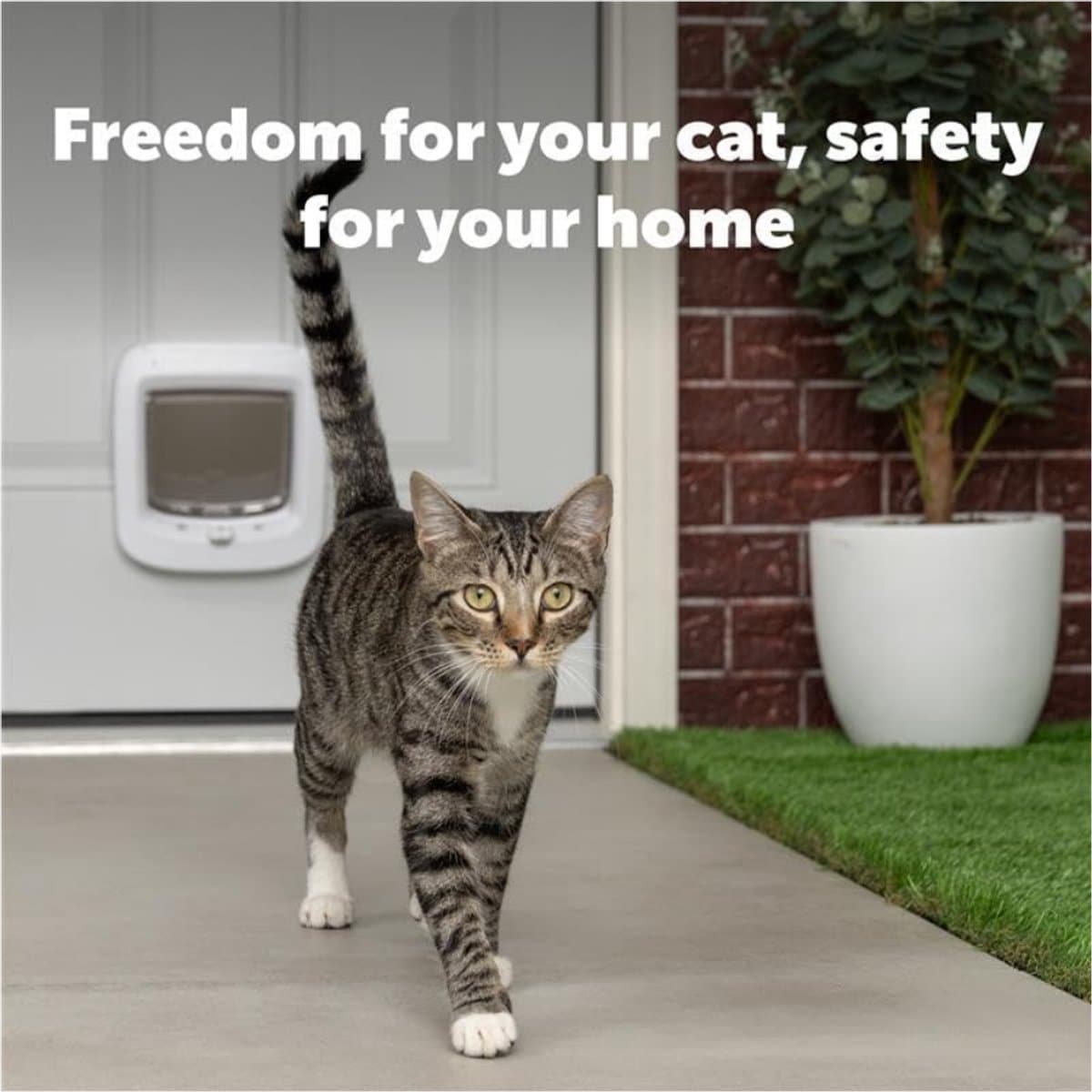 Kattenluik met Microchip - Kattenluik - Toegang max. 40 Huisdieren - Weerbestendig - Met Bevestigingsmateriaal thumbnail 4