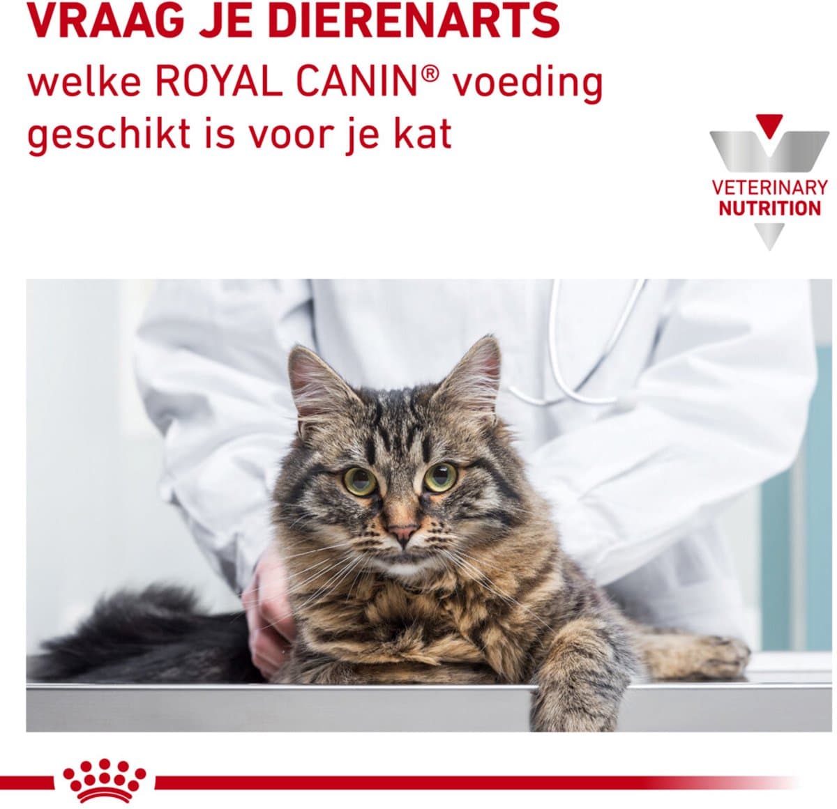 Royal Canin - Kattenvoer Droog Urinary S/O Moderate Calorie - 3 x 3,5 kg thumbnail 3