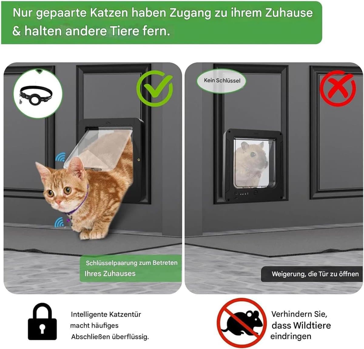 Huisdierluik met Chip - Kattenluik Hondenluik - Toegangscontrole Huisdieren - Microchip Identificatie - 1956 x 2108 cm thumbnail 7