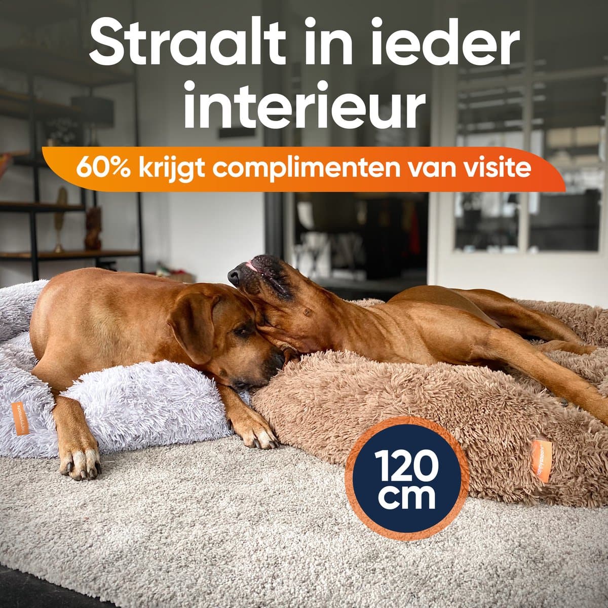 Happysnoots Donut Hondenmand 100cm - Grijs Hondenbed - Dog Bed - Wasbaar Hondenkussen thumbnail 3