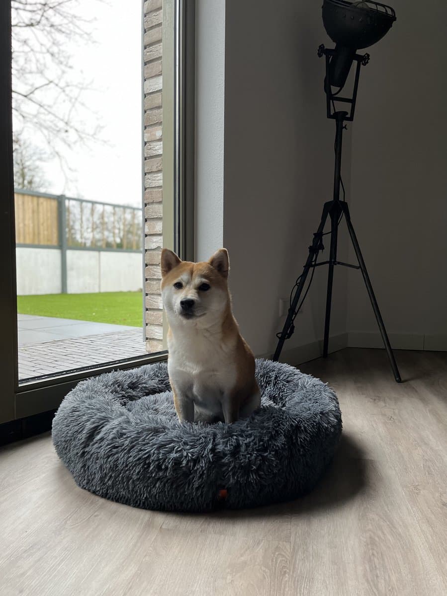 Happysnoots Donut Hondenmand 100cm - Grijs Hondenbed - Dog Bed - Wasbaar Hondenkussen thumbnail 7