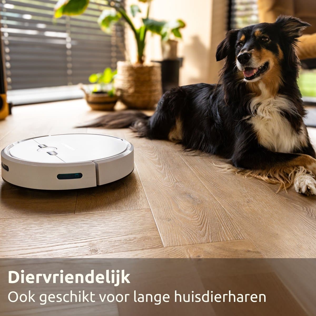 CleanDays Robotstofzuiger met dweilfunctie - Slimme navigatie - Dweilrobot - Robotstofzuiger met laadstation - Werkt met huisdieren - Inclusief Nederlandstalige app & afstandsbediening - D2-001 thumbnail 6