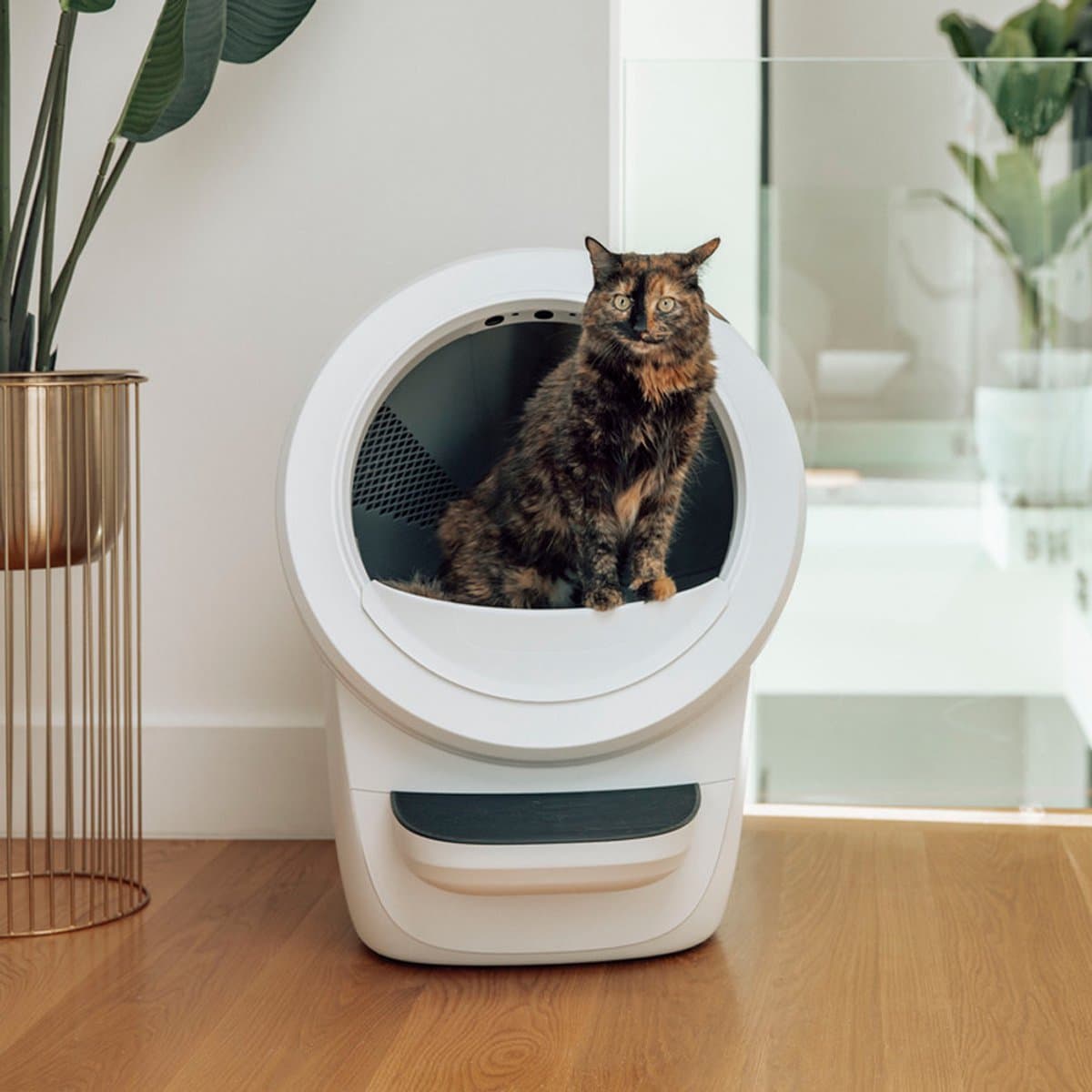 Litter-Robot 4 - Automatische zelfreinigend kattenbak met app thumbnail 4