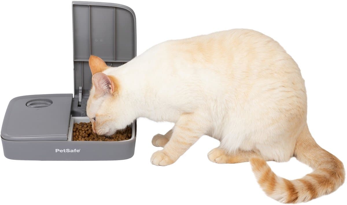 PetSafe Automatische Voerbak Kat en Hond - 2 x 150 gr - met Timer - 2 Maaltijden thumbnail 2