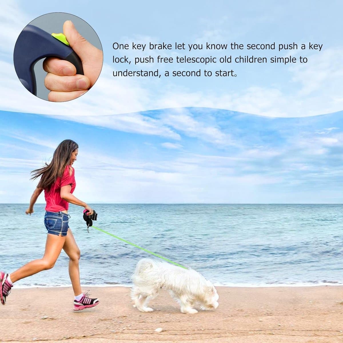 Dubbele hondenriem voor 2 honden - Flexibele, intrekbare hondenriem met LED-lampje - Hondenriem van 3 m - Intrekbare hondenriem met comfortabele ergonomische handgreep - Intrekbare riem -Zwart-20.5*18.2*4.5cm thumbnail 6