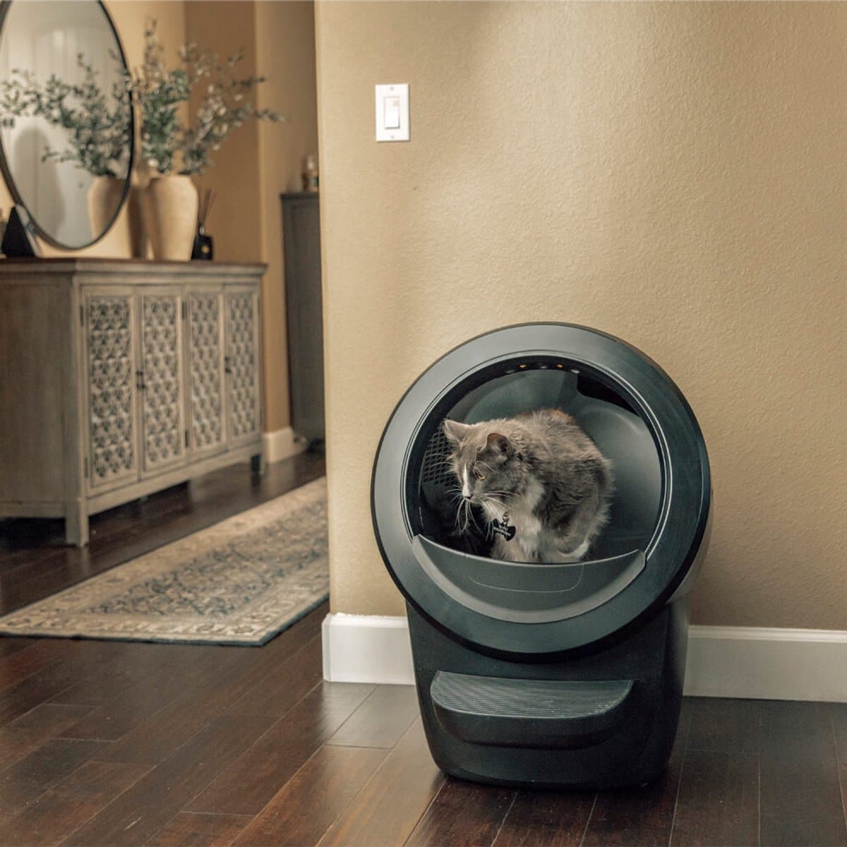 Litter-Robot 4 - Automatische zelfreinigend kattenbak met app thumbnail 5