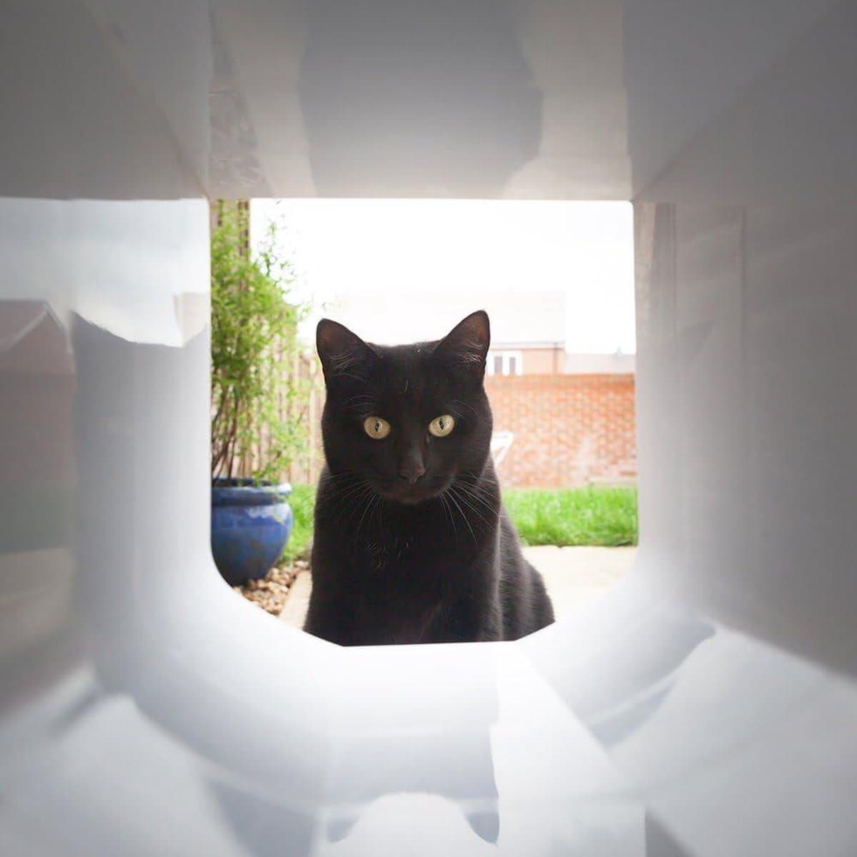 Microchip Tunnel Extension for Cat Flap - Fits SureFlap - Cat Flap Connect - DualScan Microchip Cat Flap - Wall Installation Accessory White thumbnail 3