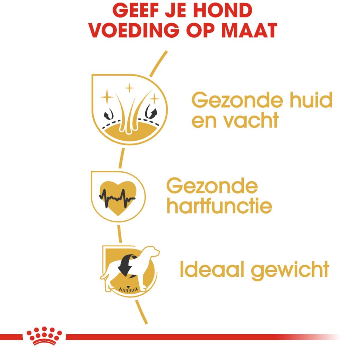 Royal Canin Golden Retriever - 12 KG - Adult - Hondenbrokken thumbnail 2