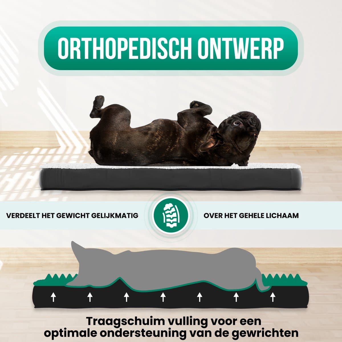 Avalo Orthopedisch Hondenkussen S - 45x65 cm - Wasbaar / Traagschuim / Antislip - Orthopedische Hondenmand - Hondenbed thumbnail 4