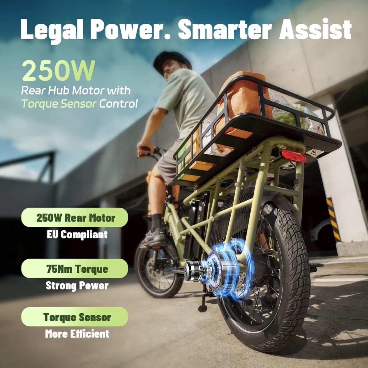 FAFREES FF20 CUV Familie Longtail E-Cargo Bike – Modulair, Dual-Accu 140km Bereik, 200kg Laadvermogen, Hydraulische Remmen – Zwart thumbnail 5