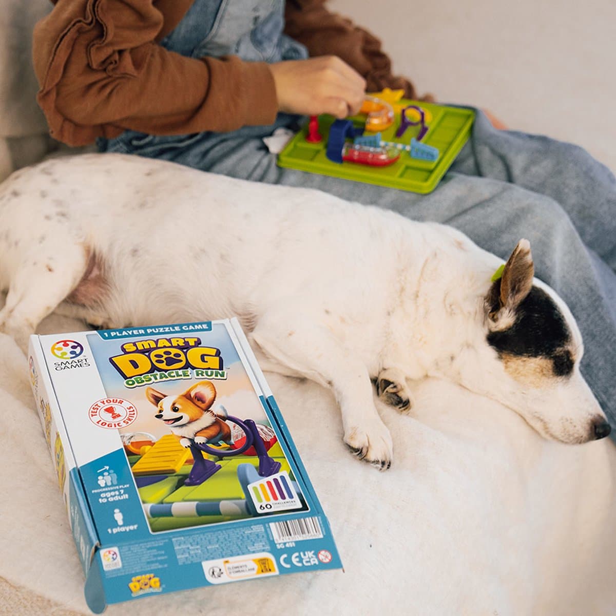 SmartGames Smart Dog Denkspel: compact denkspel met 60 opdrachten thumbnail 8