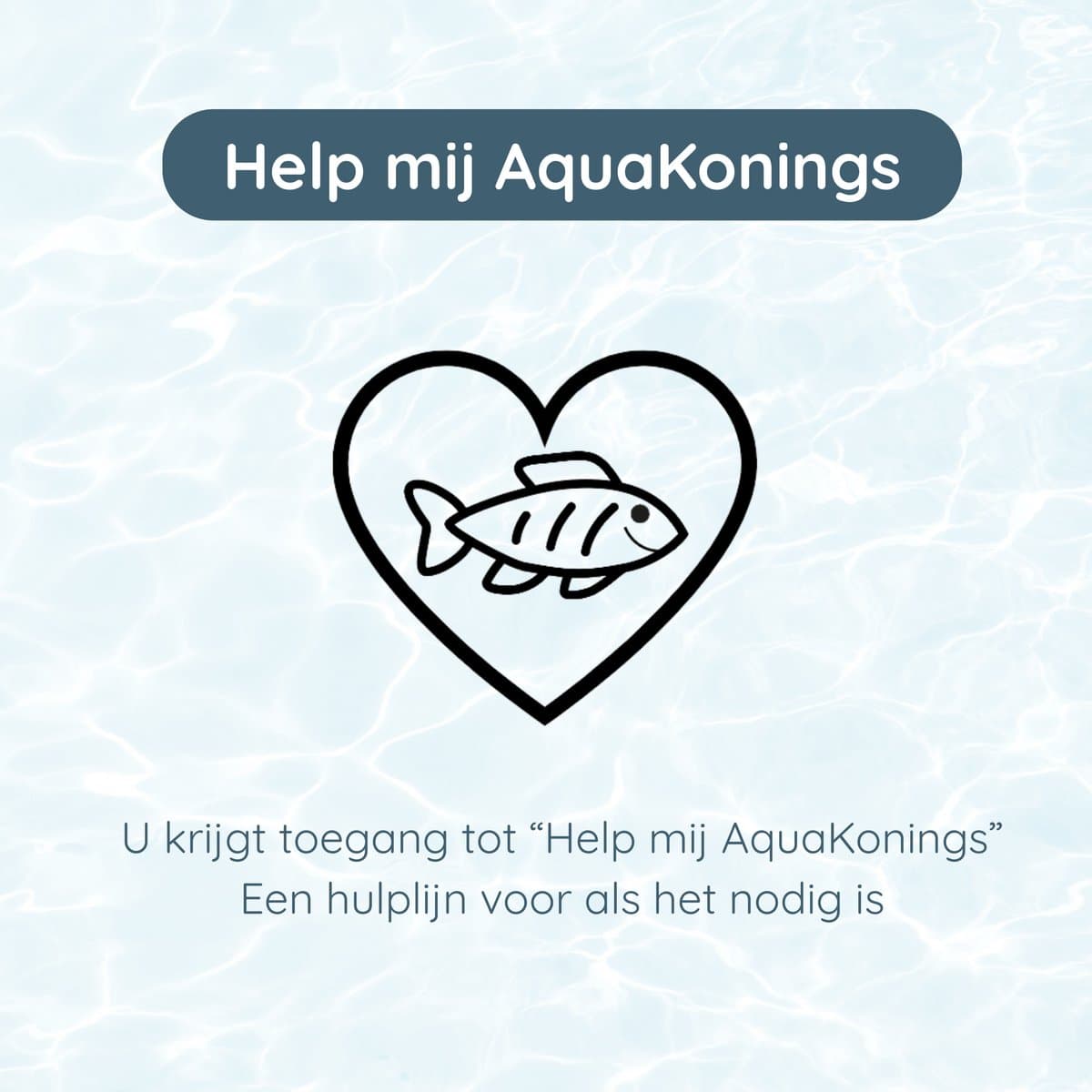 AquaKonings aquarium 60/64L thumbnail 6