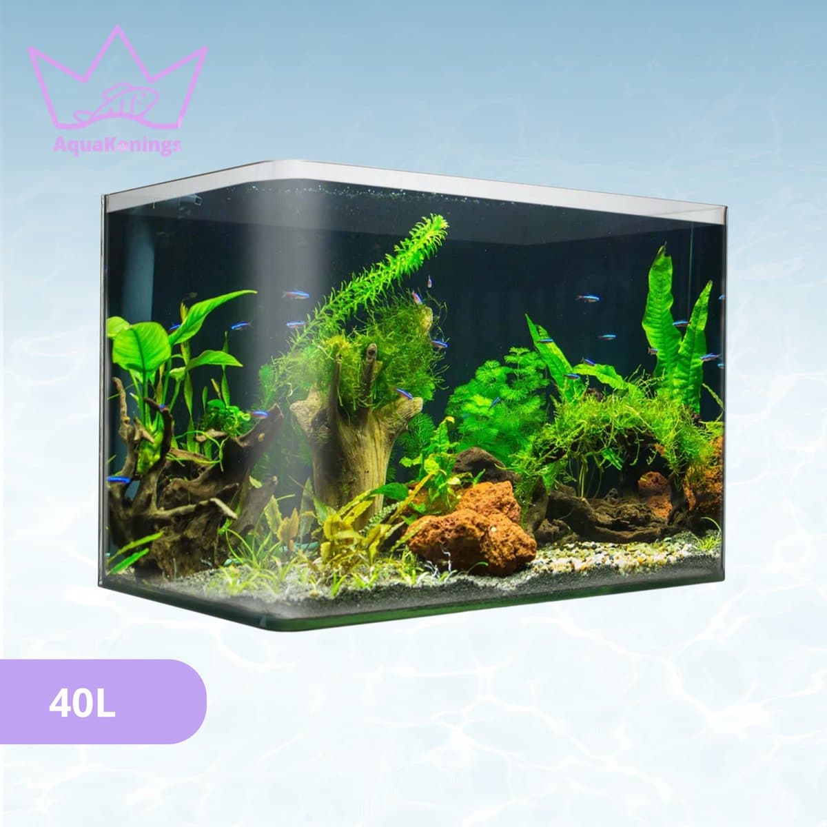 AquaKonings aquarium 40L