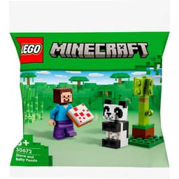 Productfoto van LEGO Minecraft - Steve & Babypanda