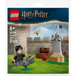 Productfoto van LEGO Harry Potter Zwerkballes Set