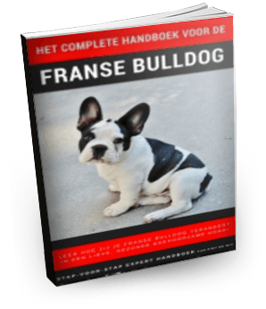 Franse Bulldog Handboek