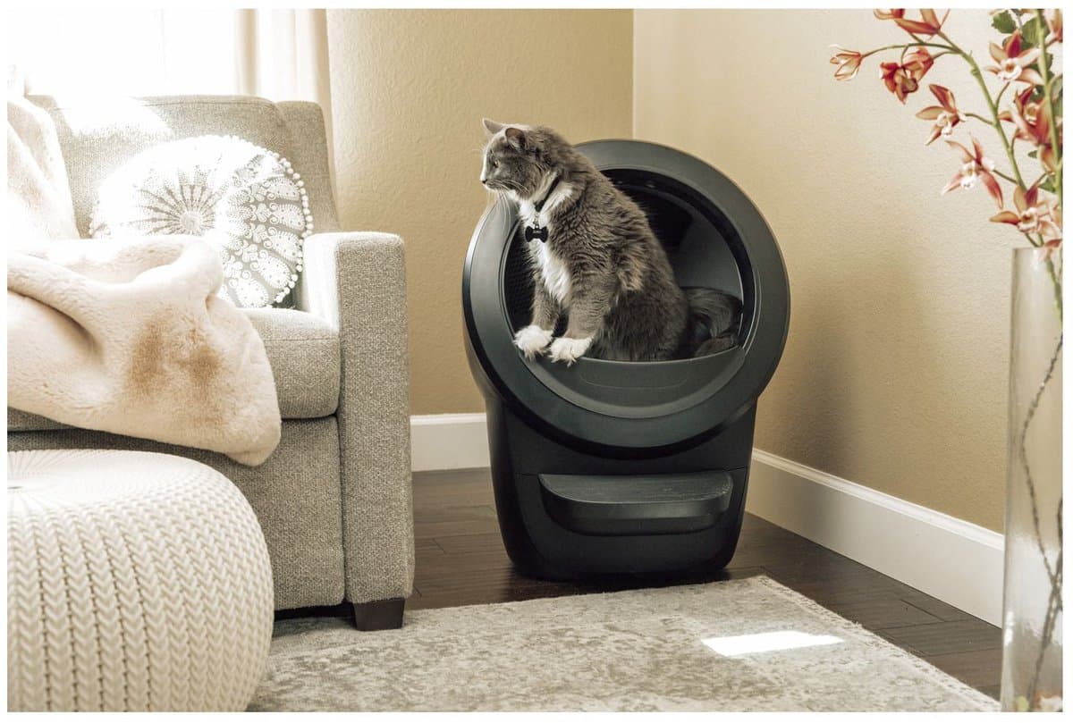 Litter-Robot 4: Automatische kattenbak met Whisker app