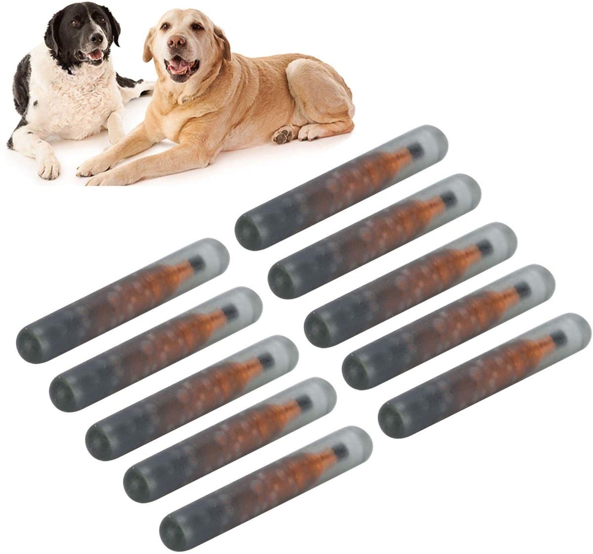 Dailygoods- Microchip 10 Stuks - Huisdier ID Microchip - Biologisch Glas - 134,2 KHz - Lichtgewicht - Antibacterieel - Dierenidentificatie - afbeelding 1