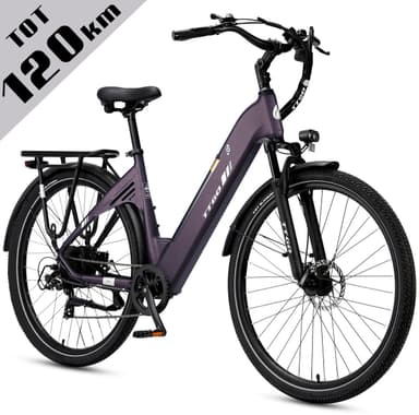 TTGO C3 stadsfiets met 648Wh-accu en lage instap