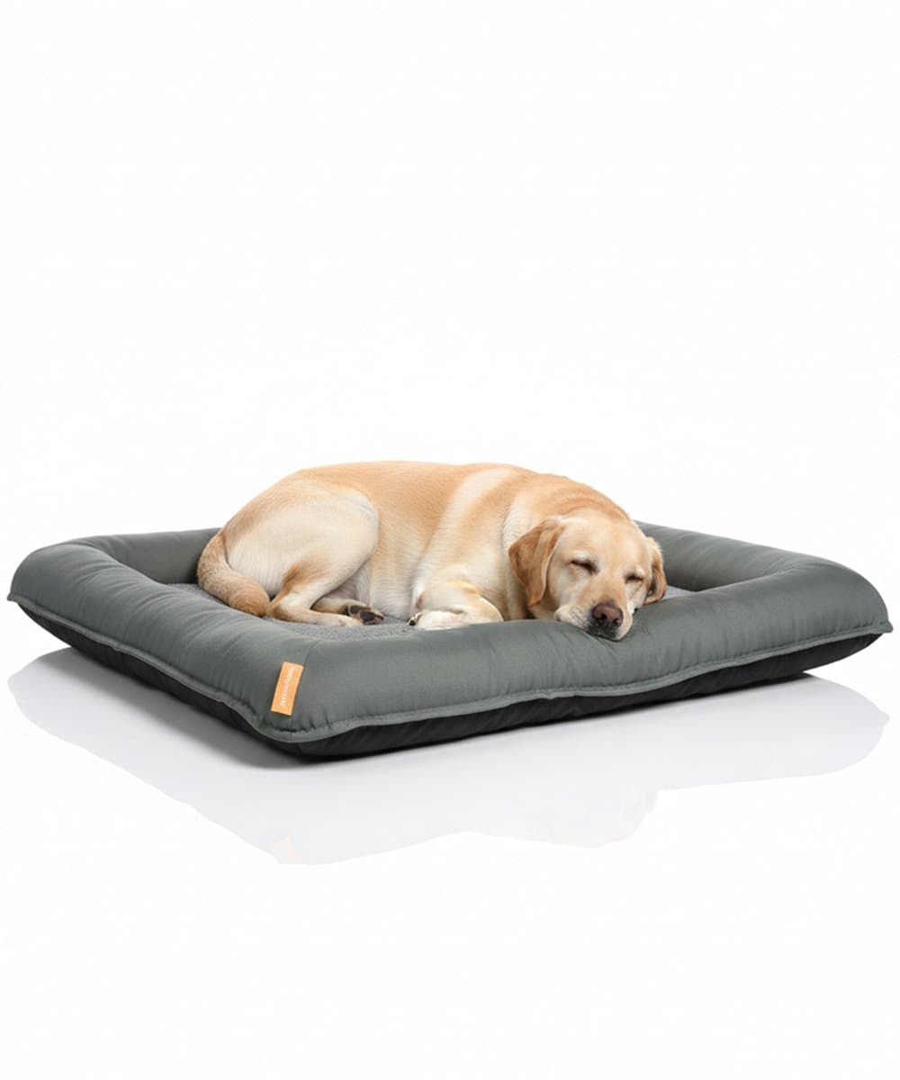 Happysnoots Orthopedische Hondenmand XXL - 10cm Koudschuim