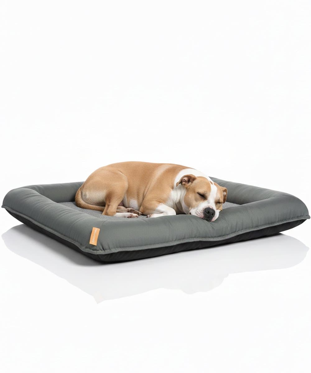Happysnoots Orthopedisch Hondenkussen XL - 10cm Koudschuim