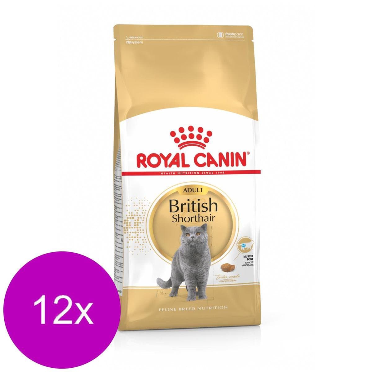 Royal Canin British Shorthair Adult - Voer voor sterkere spieren