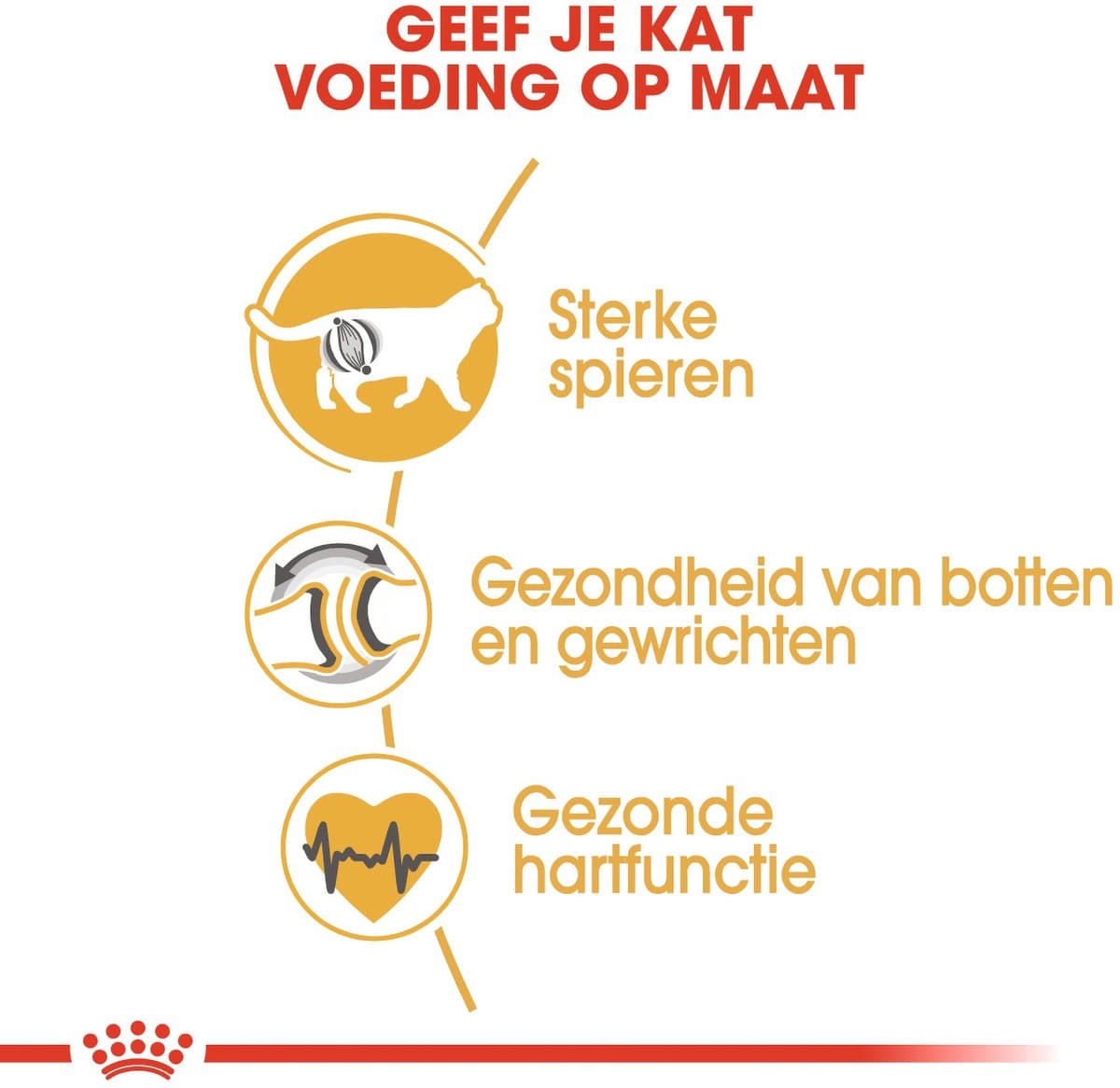 Royal Canin British Shorthair Adult: Speciaal kattenvoer voor sterke spieren