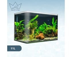 AquaKonings – Aquarium – Aquarium met afgeronde hoeken - Aquariumkit 30x18x21 11L
