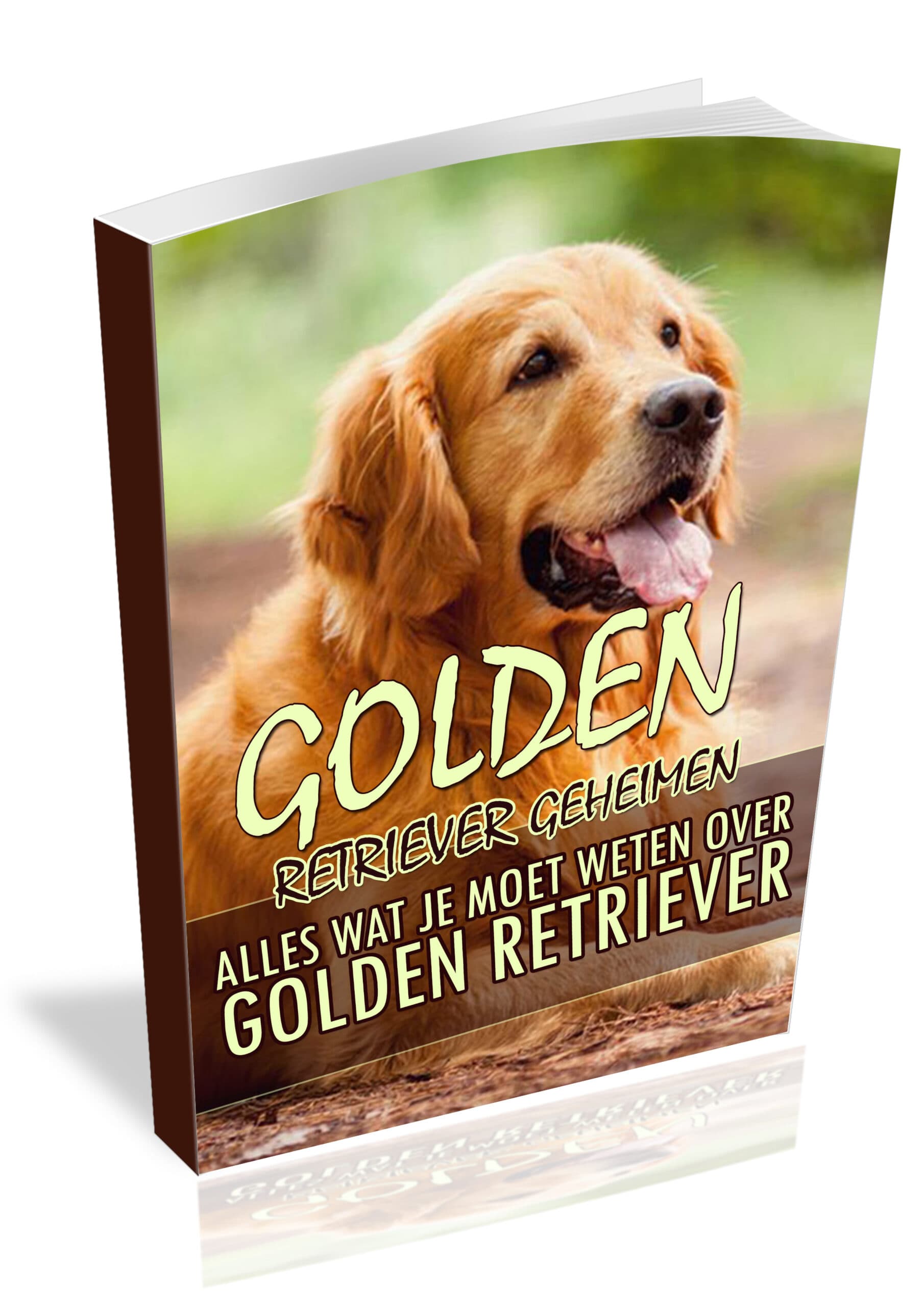 Golden Retriever Geheimen