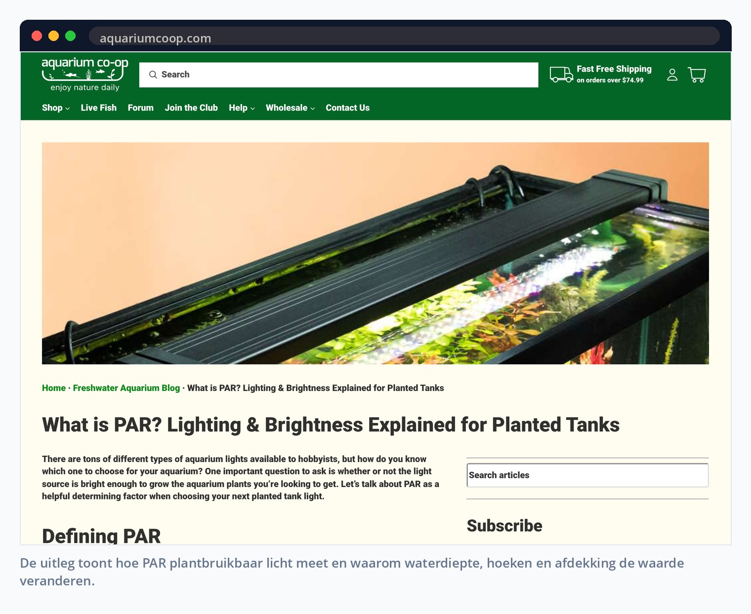 De uitleg toont hoe PAR plantbruikbaar licht meet en waarom waterdiepte, hoeken en afdekking de waarde veranderen.