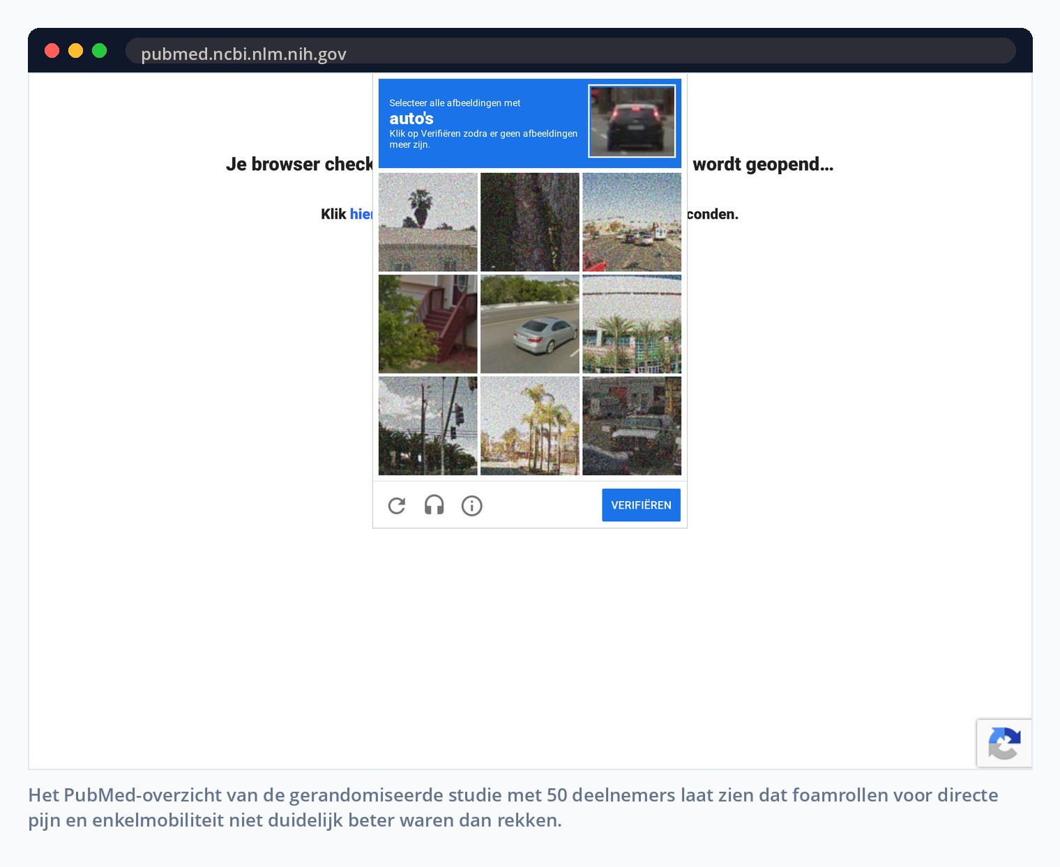 Het PubMed-overzicht van de gerandomiseerde studie met 50 deelnemers laat zien dat foamrollen voor directe pijn en enkelmobiliteit niet duidelijk beter waren dan rekken.